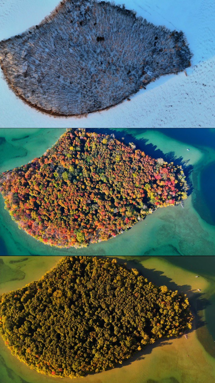 Apple Island