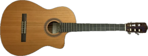 Cordoba Guitar